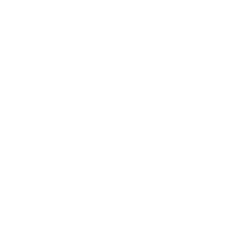 Turtle Cases 